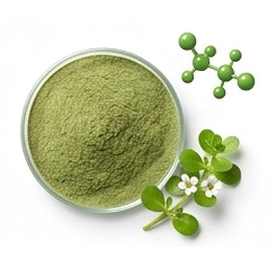 Bacopa