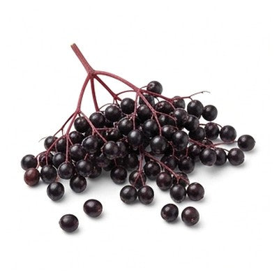 Elderberry