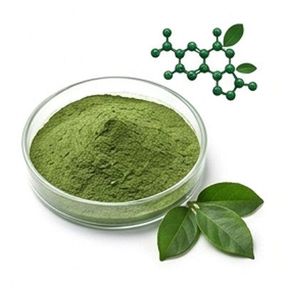 Gymnema Sylvestre