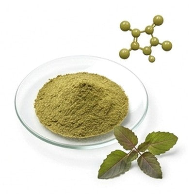 Holy Basil