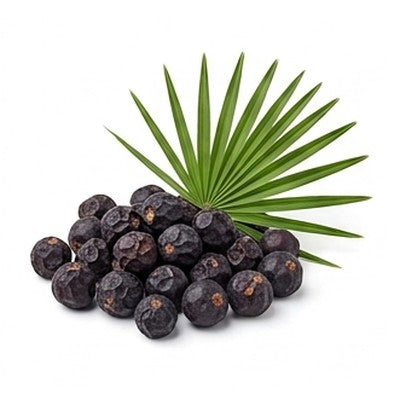 Saw Palmetto Fruit Extract