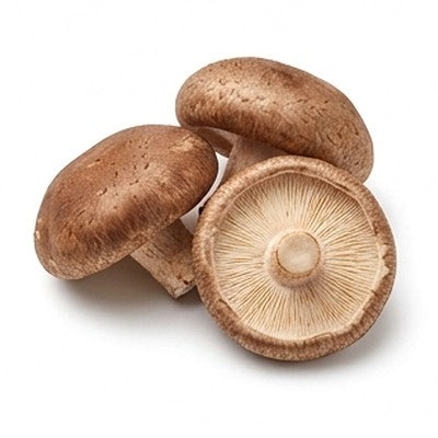 Shiitake