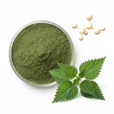 Ingredient Stinging Nettle