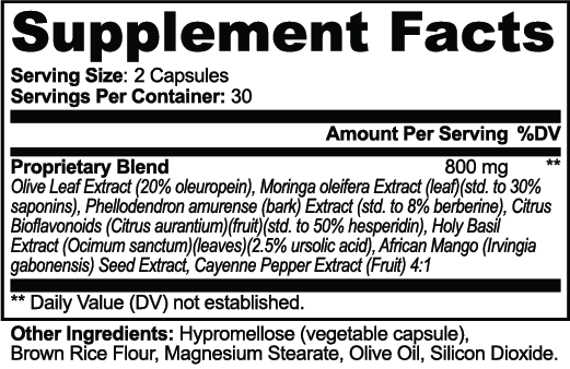 MetaRise Plus - gallery-facts