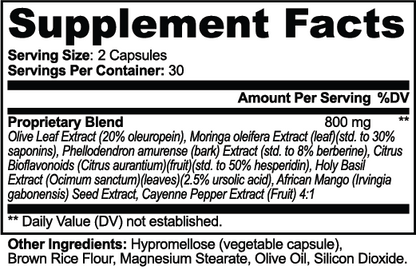 MetaRise Plus - gallery-facts